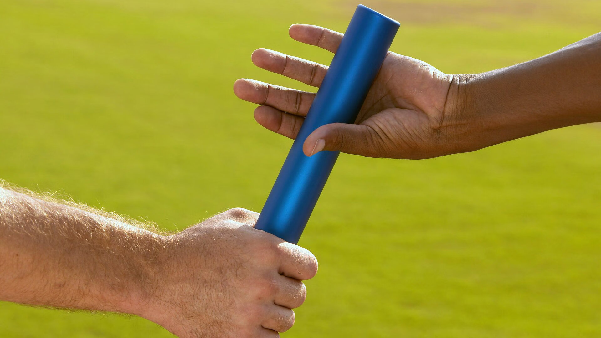 _老虎般的猛龙，鏖战到底笑到最后_，迅猛的老虎